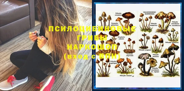 2c-b Бородино