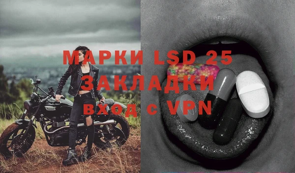 2c-b Бородино